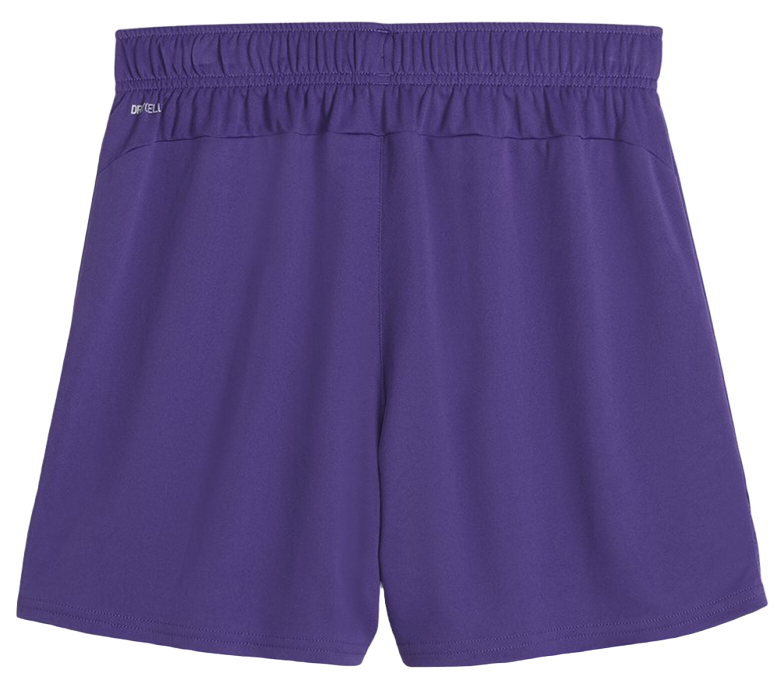 Shorts Puma teamGOAL Shorts Wmns Lilla | 705754-10, 1