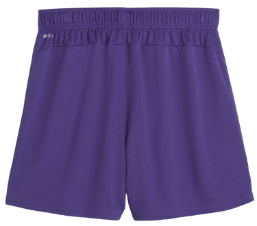 Shorts Puma teamGOAL Shorts Wmns Lilla | 705754-10, 1