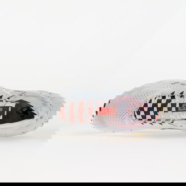 Sneakers og sko Nike Zegama 2 Grå | fd5190-009, 3