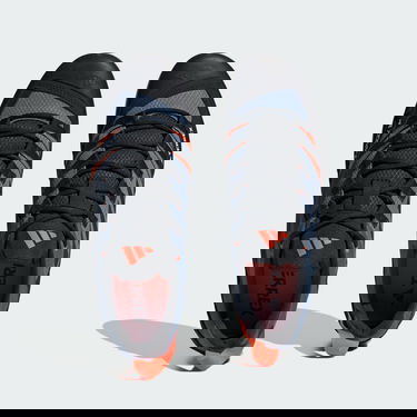 Sneakers og sko adidas Performance Terrex Swift Solo 2.0 Hiking Sort | IE6903, 4