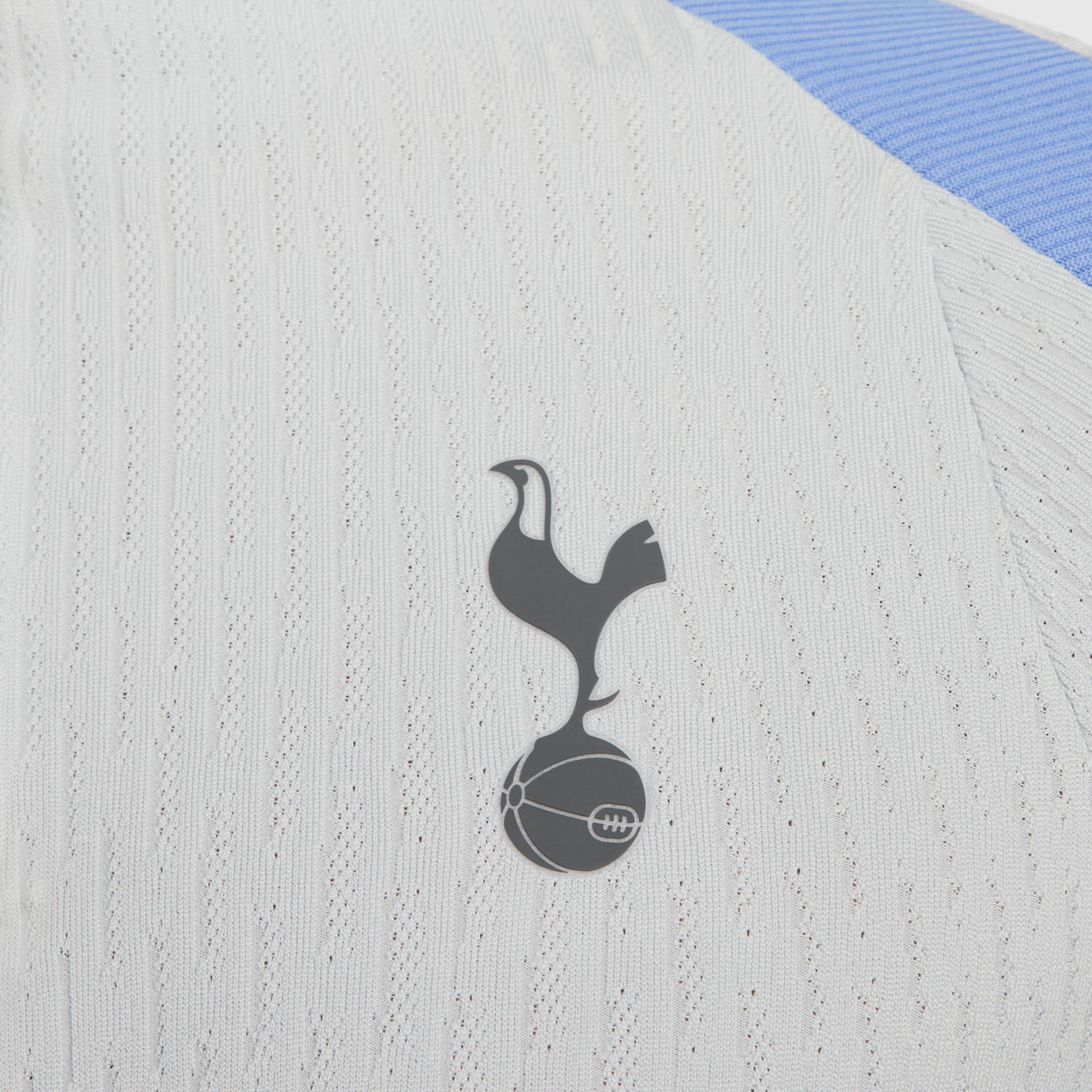T-shirt Nike Dri-FIT ADV Tottenham Hotspur Strike Elite Grå | FN9282-098, 1