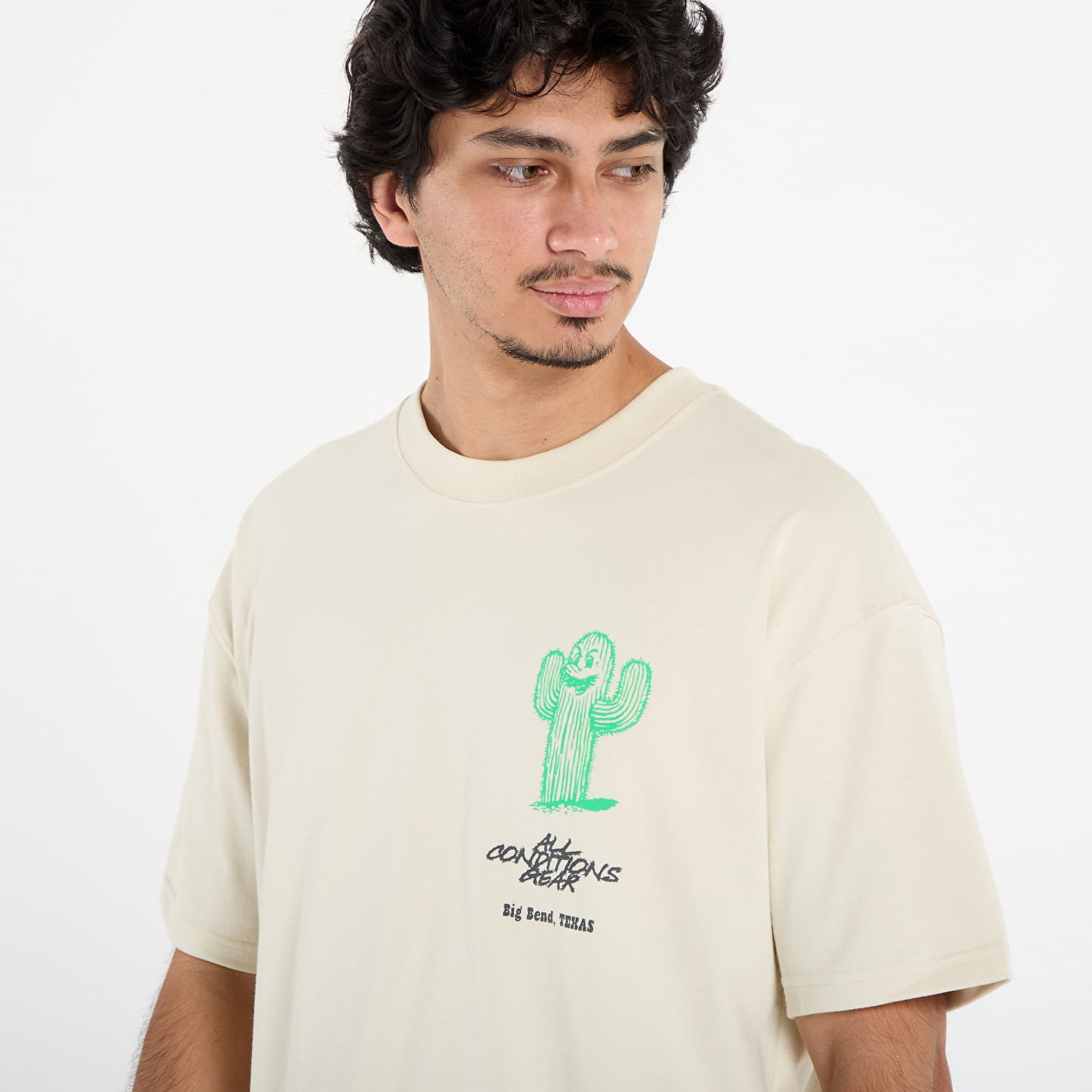 T-shirt Nike ACG ACG Cactus Graphic Tee Beige | HV1292-229, 1