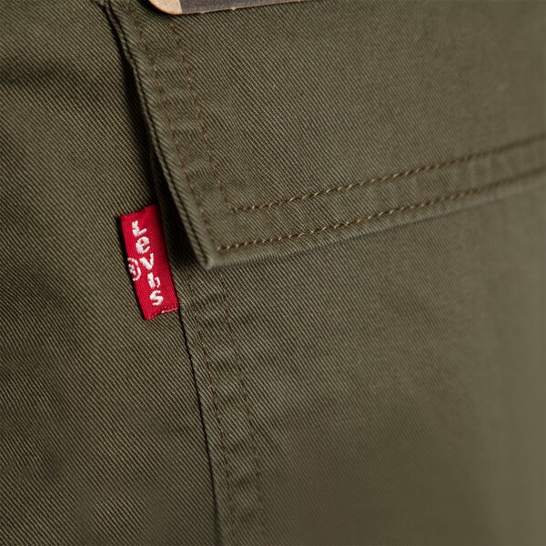 Cargo bukser Levi's Baggy Cargo Greens Grøn | A47070002, 1