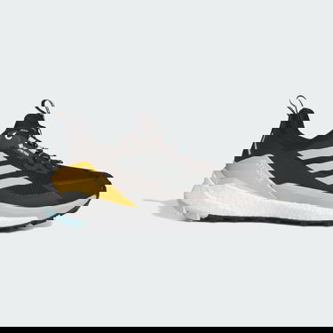 Sneakers og sko adidas Performance Terrex Free Hiker 2.0 Low GORE-TEX Hiking Sort | IG5460, 1