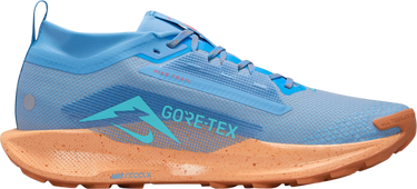 Sneakers og sko Nike Pegasus Trail 5 GORE-TEX Blå | fq0908-400, 2