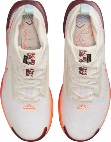 Sneakers og sko Nike Pegasus Trail 5 GORE-TEX Hvid | fq0912-104, 2
