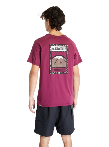 T-shirt The North Face North Face Lyserød | NF00CEQ8I0H