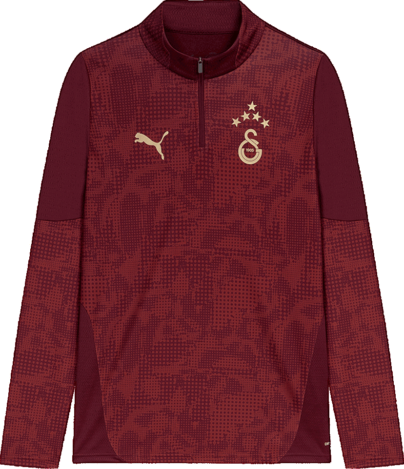 T-shirt Puma Puma GSK Training 1/4 Zip Top Bourgogne | 782887-03