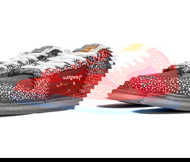 Sneakers og sko Nike SB Dunk Low Stingwater Magic Mushroom Rød | DH7650-600, 1