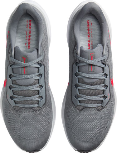 Sneakers og sko Nike Pegasus 41 Grå | fd2722-013, 2