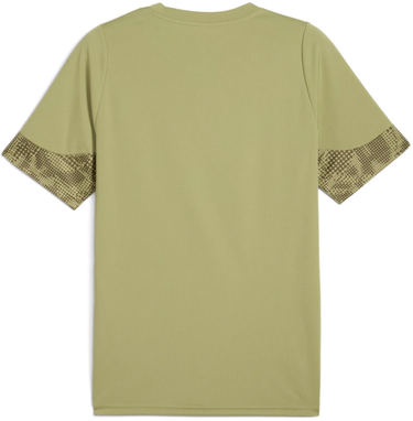 Jersey Puma teamCUP Graphic T-Shirt Grøn | 659167-40, 1