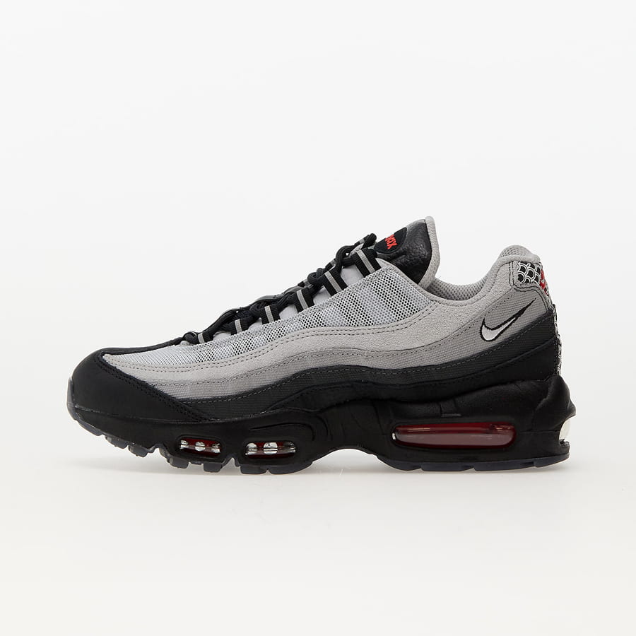Sneakers og sko Nike Air Max 95 "Fish Scales" Grå | DQ3979-001, 1