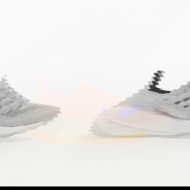 Sneakers og sko adidas Performance UltraBOOST 21 W Lilla | S23837, 1