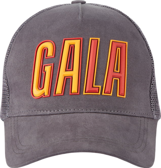 Kasket Puma Puma Galatasaray Istanbul Trucker Cap Grå | u251187-304