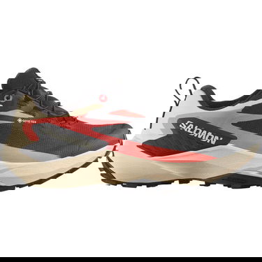 Sneakers og sko Salomon Genesis GTX Beige | L47807900, 1