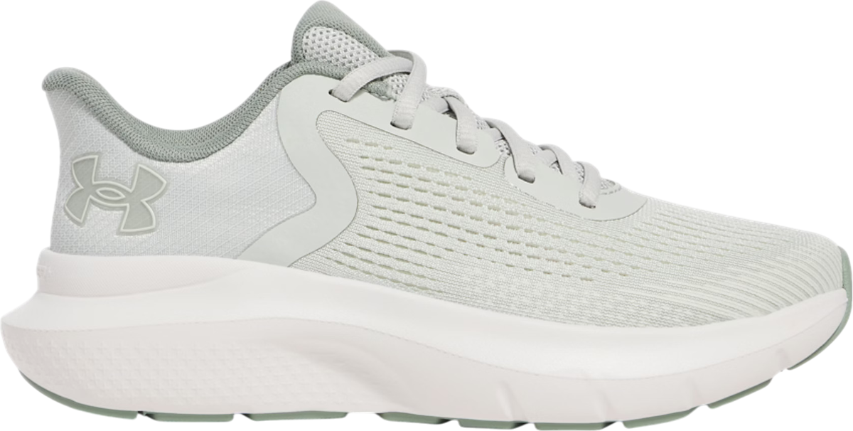 Sneakers og sko Under Armour Charged Rogue 5 Grå | 3028262-377, 0