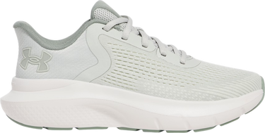 Sneakers og sko Under Armour Charged Rogue 5 Grå | 3028262-377, 0