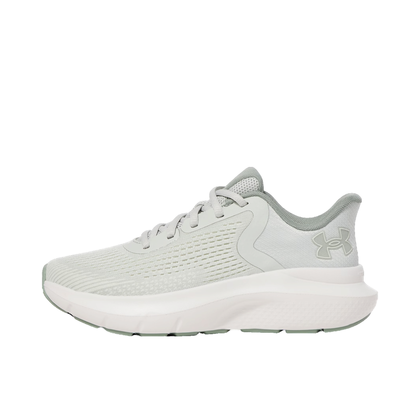 Sneakers og sko Under Armour Charged Rogue 5 Grå | 3028262-377