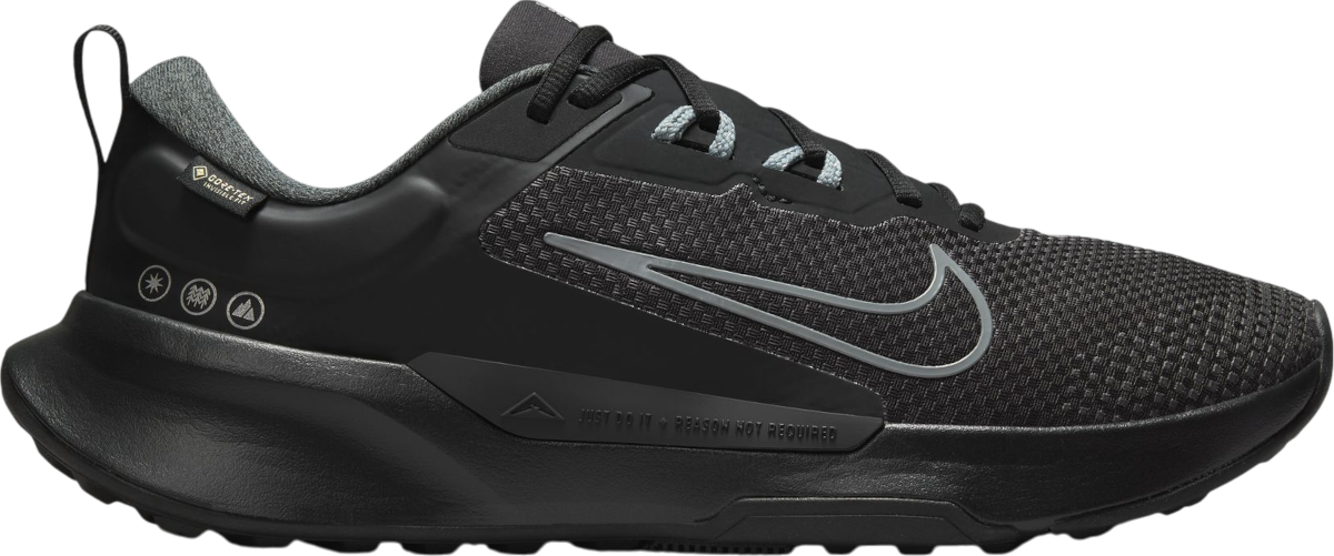 Sneakers og sko Nike Juniper Trail 2 GORE-TEX Sort | hm9734-001, 0