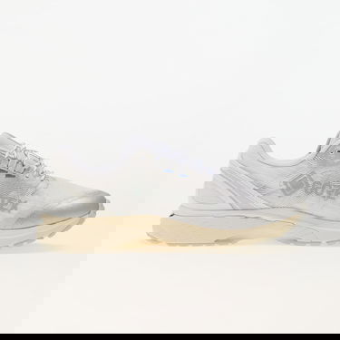 Sneakers og sko Asics Gel-Terrain GTX Grå | 1203A457-100, 2