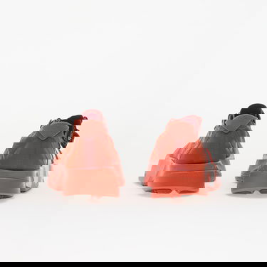 Sneakers og sko Y-3 Y-3 Adios Pro 4 Craft Rød | JR6657, 5