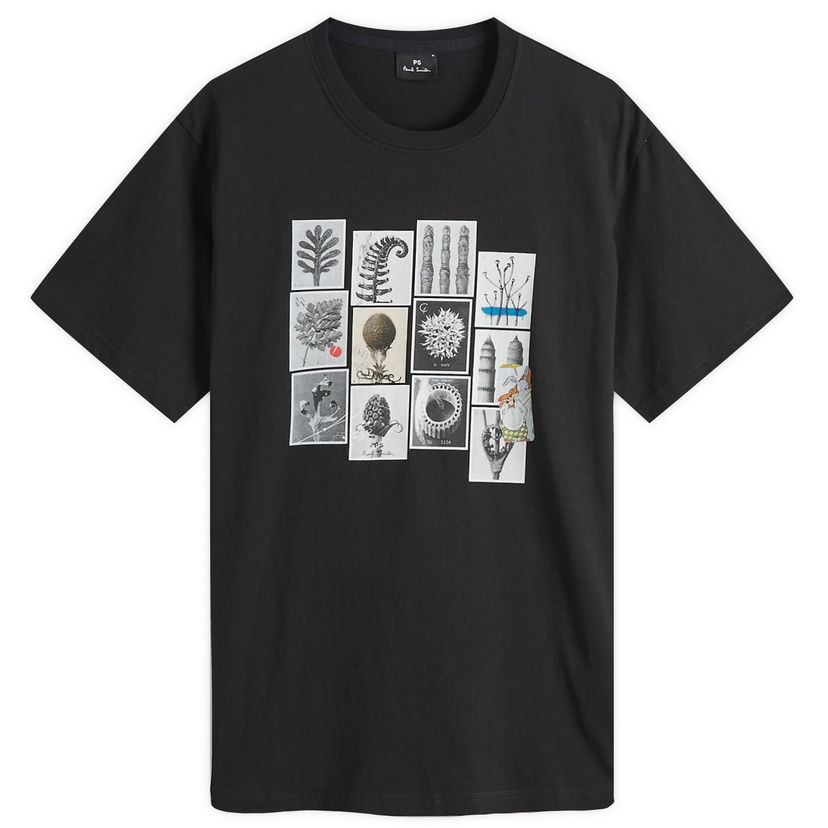 T-shirt Paul Smith Paul Smith Desert Flowers Graphic T-Shirt, Size Large Sort | M2R-011R-PP5135-79