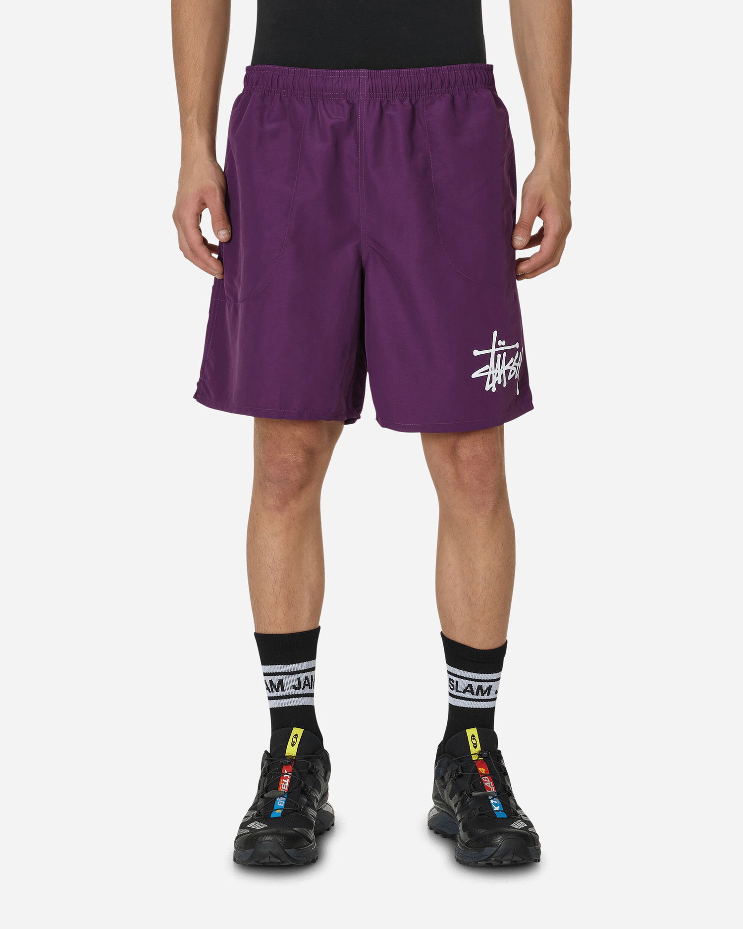 Badetøj Stüssy Big Basic Water Shorts Lilla | 113156 PLUM, 0