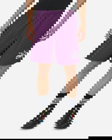 Badetøj Stüssy Big Basic Water Shorts Lilla | 113156 PLUM, 0