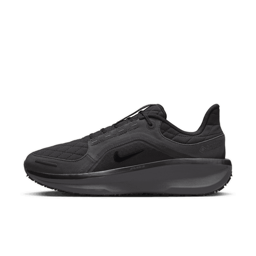 Løbe Nike Winflo 11 GORE-TEX Sort | FQ1358-001