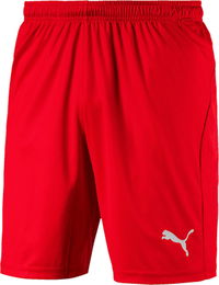 Puma Liga Core Shorts