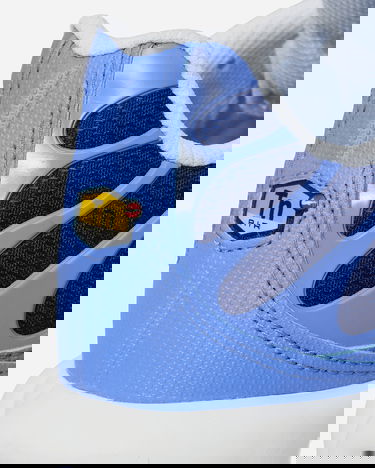 Sneakers og sko Nike Air Max Plus Royal Pulse Blå | DM0032-403, 6