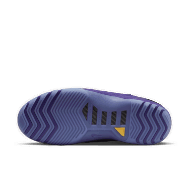 Sneakers og sko Nike Air Zoom Generation "Purple Suede" Mørkeblå | FJ0667-500, 2