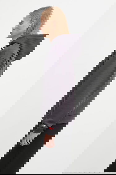 Sweatshirt The North Face RedBox Celebration Hoodie Grå | NF0A8EFZ0SA1, 1