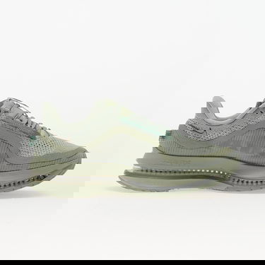 Sneakers og sko Nike Pegasus Premium Grøn | HQ2592-300, 2