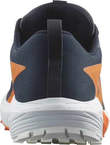 Sneakers og sko Salomon SENSE RIDE 5 GTX Sort | l47459400, 3