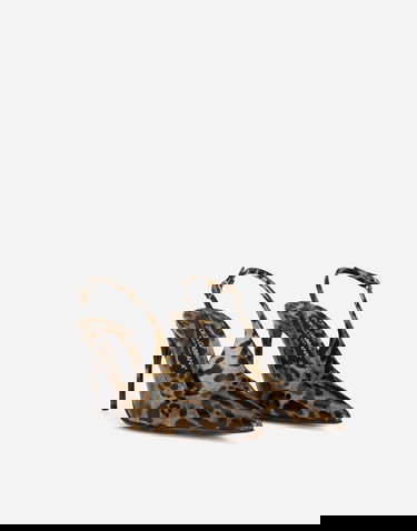 Tilbehør Dolce & Gabbana Dolce & Gabbana Animal Print Slingback Pumps Brun | CG0769AM568HA93M, 1