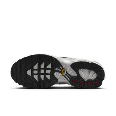 Sneakers og sko Nike Air Max Plus Grå | FV8480-002, 2