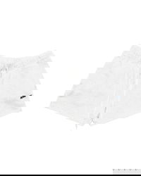 Autry Action Sweatshorts