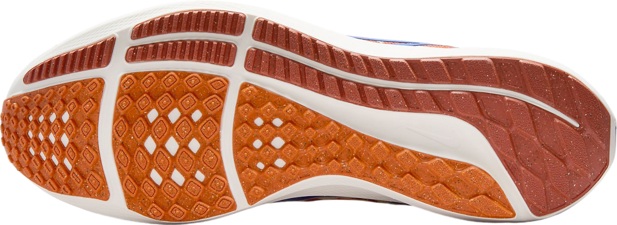 Sneakers og sko Nike Pegasus 40 Premium Rød | fq7680-100, 1