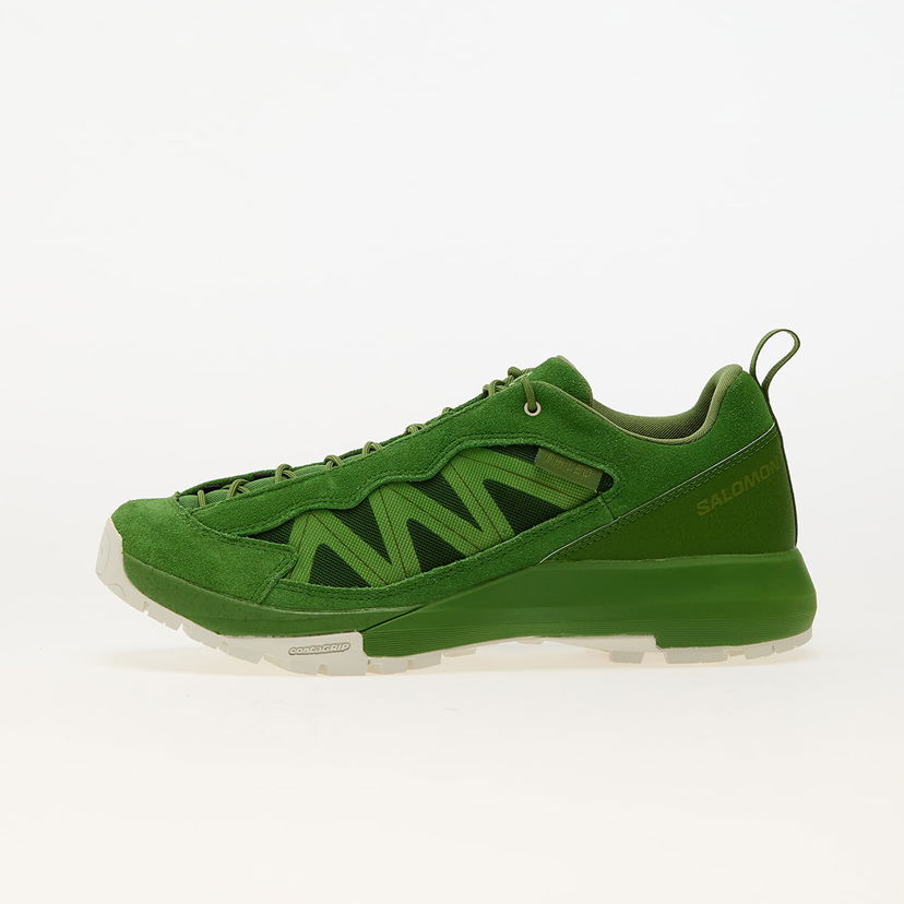 Outdoor Salomon Alpinway SP2 Grøn | L47707700