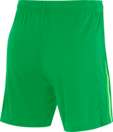 Shorts Nike Green Training Shorts 2024/25 Grøn | fz2821-310, 1