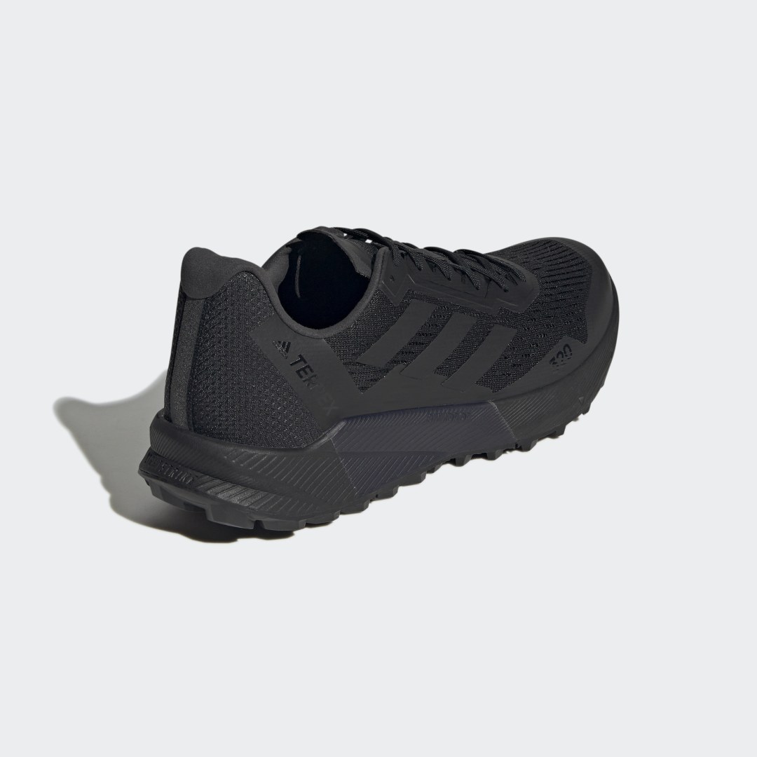 Sneakers og sko adidas Performance Terrex Agravic Flow 2.0 Sort | GZ8886, 1