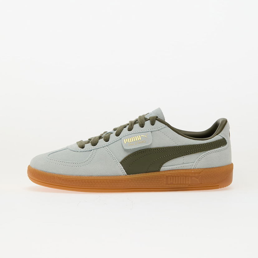 Sneakers og sko Puma Palermo Grå | 39646351