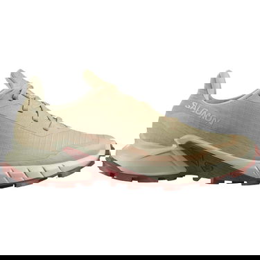 Sneakers og sko Salomon Alphacross 5 Beige | L47460200, 0