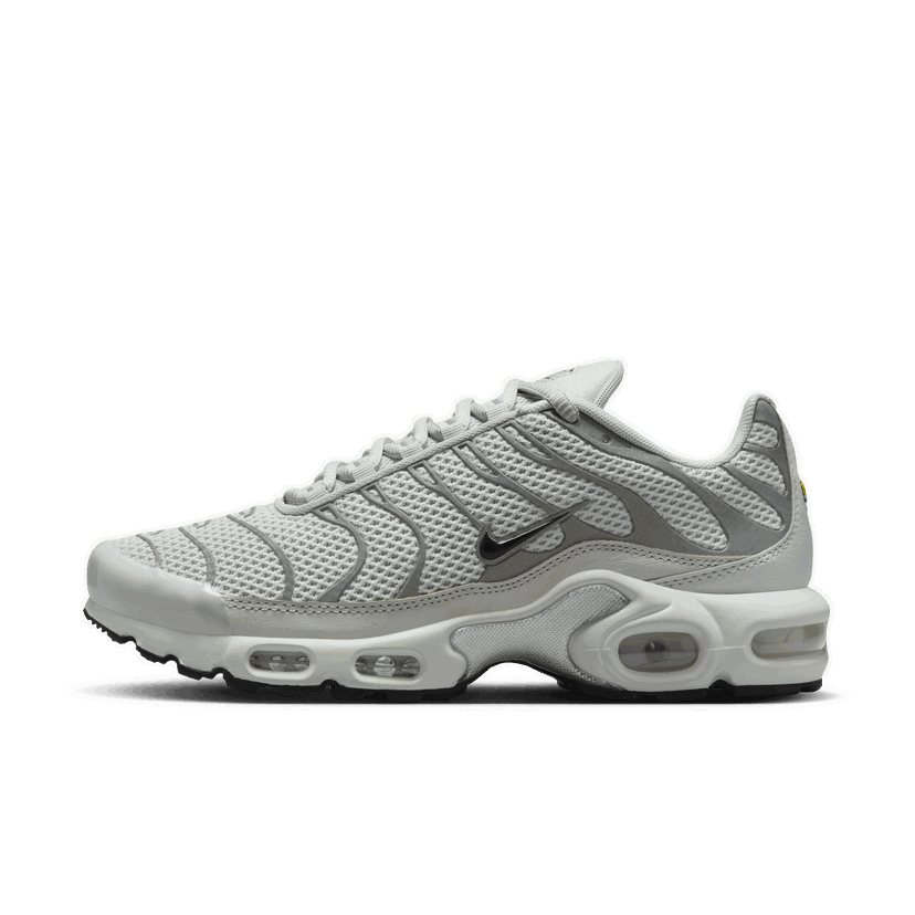 Sneakers og sko Nike Air Max Plus Grå | FV8480-002