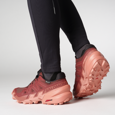 Sneakers og sko Salomon SPEEDCROSS 6 GTX W Bourgogne | l47584300, 2