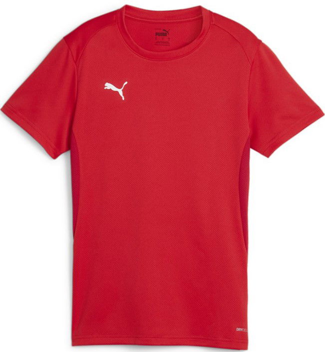 Jersey Puma teamGOAL Jersey W Rød | 658638-01