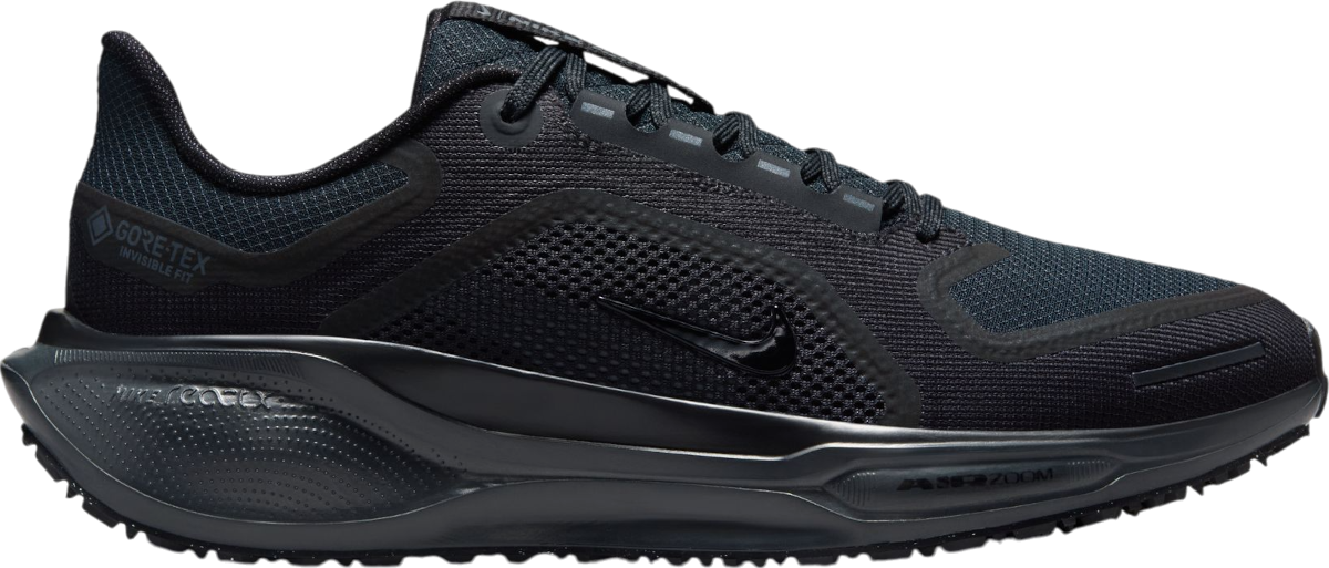 Sneakers og sko Nike Pegasus 41 GORE-TEX Sort | fq1357-001, 0