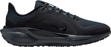 Sneakers og sko Nike Pegasus 41 GORE-TEX Sort | fq1357-001, 0
