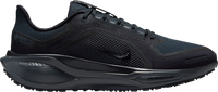 Pegasus 41 GORE-TEX
